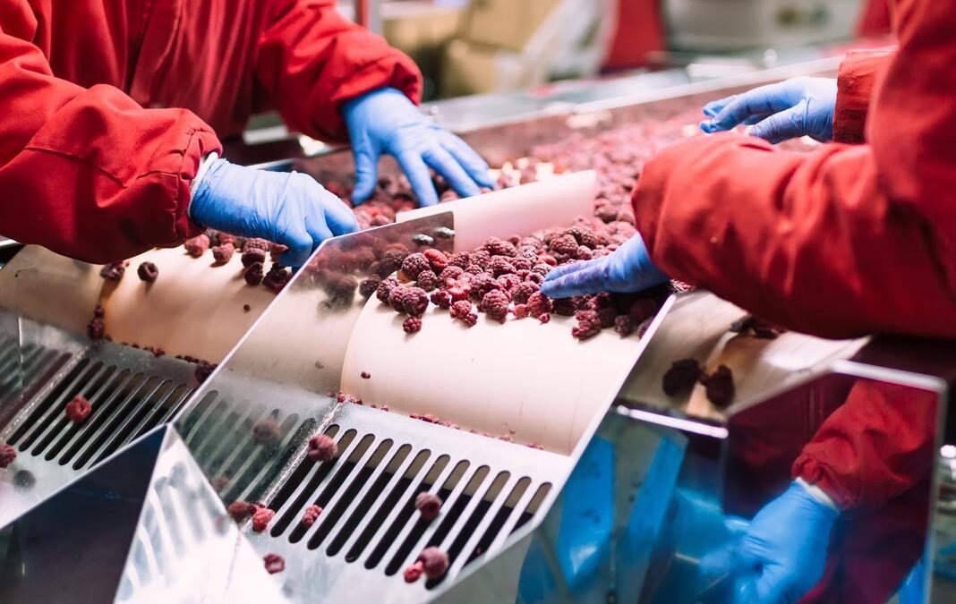 Lack of EU employees in the Food and Drink Industry