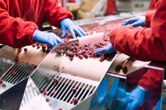 Quality check of Red Berries I LegalTechMunch