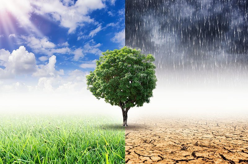 Startups to improvise climate change with technology