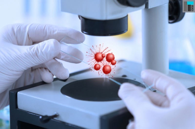 According to the latest AI news, Microsoft to Use AI to Find a Cure for Cancer