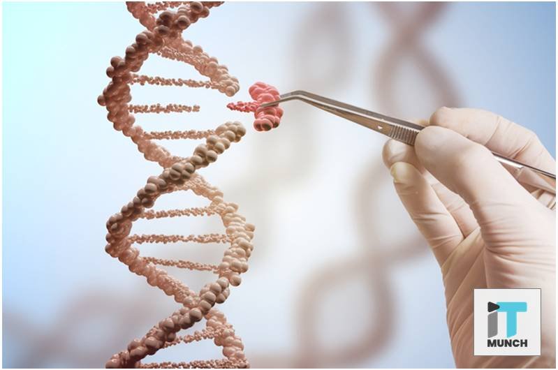 Cloning and stem cells | LegalTechMunch