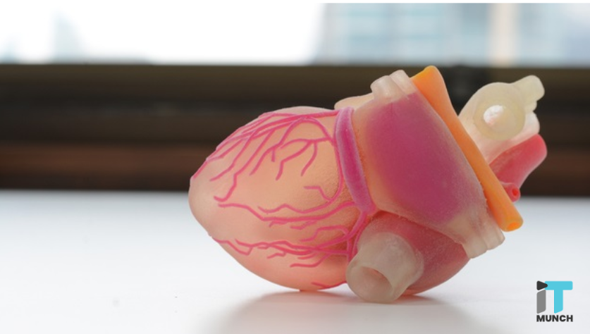 Artificial Organs for heart | LegalTechMunch