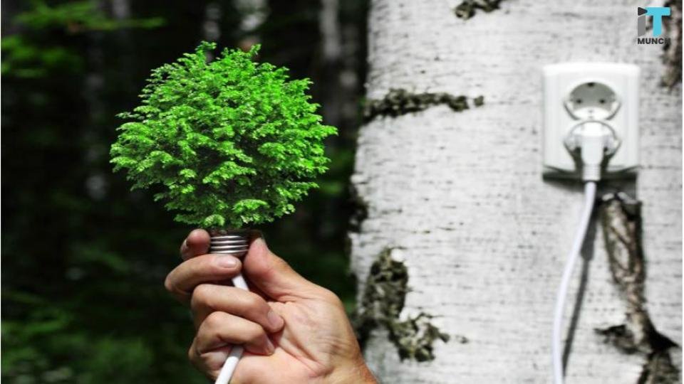 Google to Make the Biggest Purchase of Renewable Energy in History 1 Google’s investment in renewable energy | LegalTechMunch