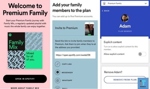 Spotify Premium Features