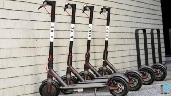 Bird cycles | LegalTechMunch