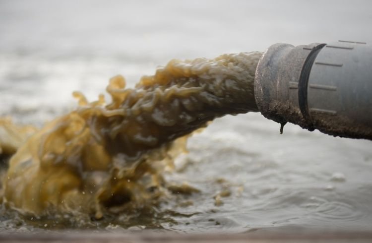 5 Exciting Cleantech Trends and Innovations for 2022 2 waste management system at Doug Jernigan Farms