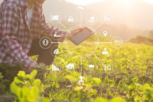 How AI is Shaping the Future of Farming