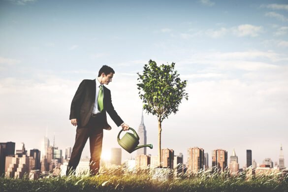 Mastering Environmental Permitting for Business Success