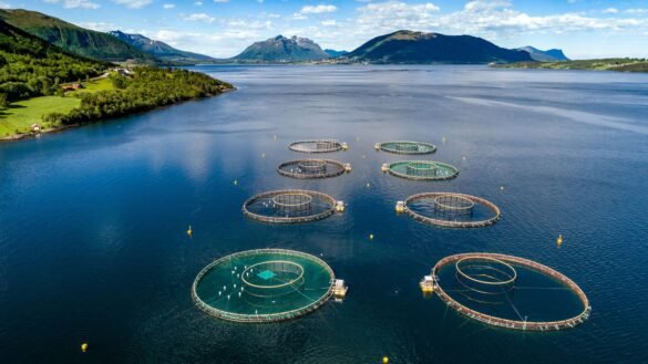 Aquaculture
