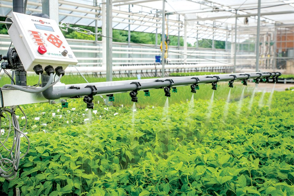 AI and IoT: Smart Solutions for Water Management and Conservation