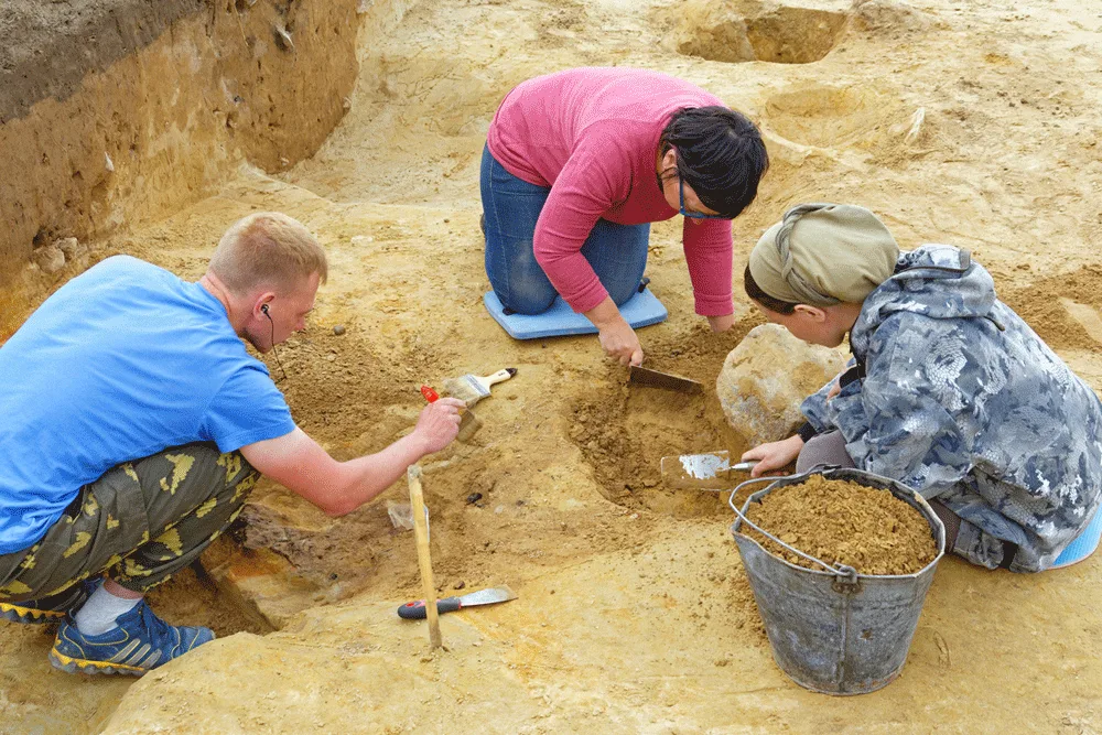 AI in Archaeology: Uncovering the Past with Cutting-Edge Technology